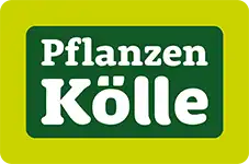 Logo-Pflanzen-Koelle